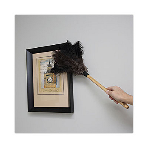 Boardwalk Professional Ostrich Feather Duster, 10" Wood Handle (20BK)