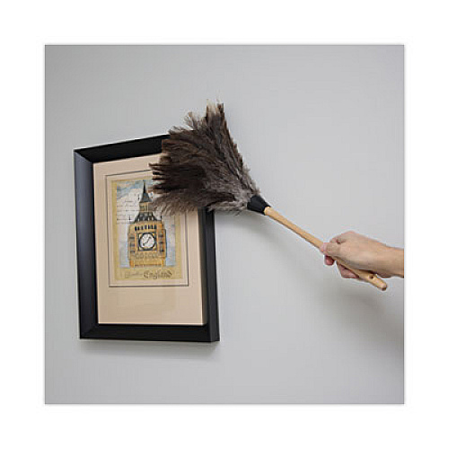 Boardwalk Professional Ostrich Feather Duster, 13" Wood Handle (23FD)