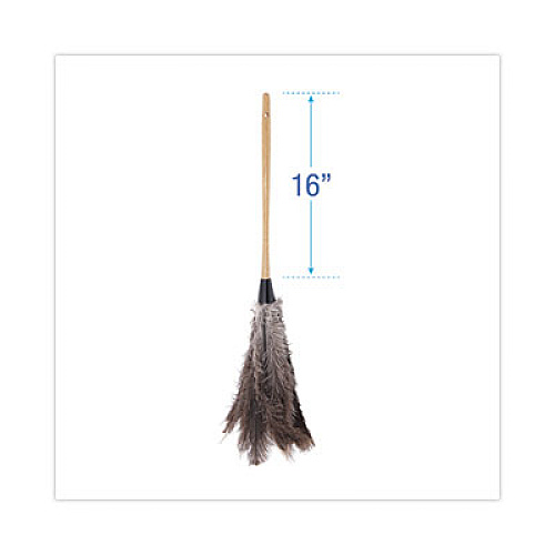 Boardwalk Professional Ostrich Feather Duster, 16" Wood Handle, 12" Gray Bristle (31FD)