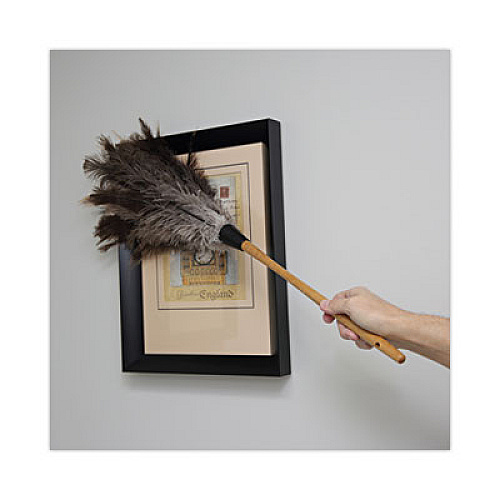 Boardwalk Professional Ostrich Feather Duster, 16" Wood Handle, 12" Gray Bristle (31FD)