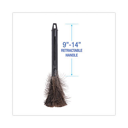 Boardwalk Ostrich Feather Duster, 9" to 14" Retractable Plastic Handle (914FD)