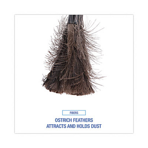 Boardwalk Ostrich Feather Duster, 9" to 14" Retractable Plastic Handle (914FD)