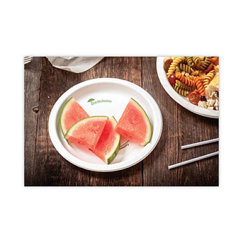 Pactiv Evergreen EarthChoice Pressware Compostable Dinnerware, Plate, Paper, 9" dia, White, 450/Carton (PSP09EC)