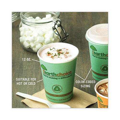 Pactiv Evergreen EarthChoice Compostable Paper Cup, 12 oz, Teal, 1,000/Carton (DPHC12EC)