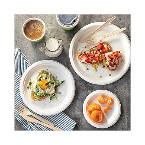 Pactiv Evergreen EarthChoice Compostable Fiber-Blend Bagasse Dinnerware, Plate, Sugarcane, 6" dia, Natural, 1,000/Carton (MC500060001)