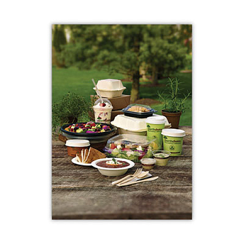 Pactiv Evergreen EarthChoice Compostable Soup Cup, Small, 8 oz, 3 .8 x 3.3 x 2.1, Brown, Paper, 500/Carton (PHSC8ECDI)