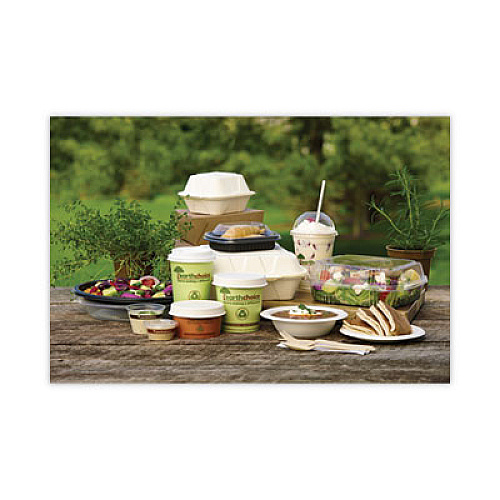 Pactiv Evergreen EarthChoice Compostable Soup Cup, Small, 8 oz, 3 .8 x 3.3 x 2.1, Brown, Paper, 500/Carton (PHSC8ECDI)