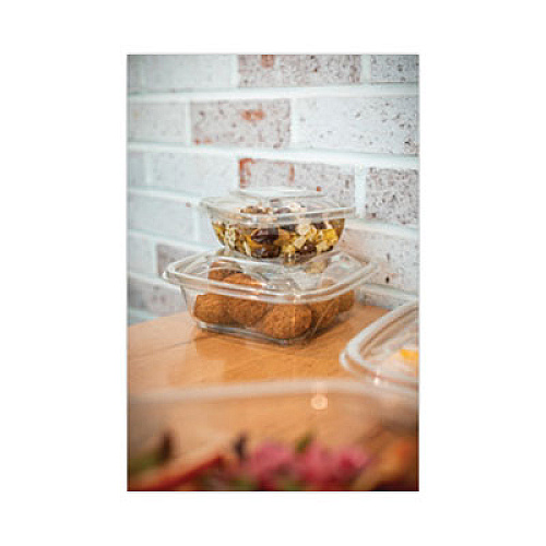 Pactiv Evergreen EarthChoice Square Recycled Bowl, 16 oz, 5 x 5 x 1.75, Clear, Plastic, 504/Carton (SAC0516)
