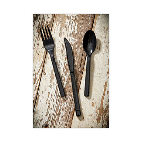 Pactiv Evergreen Meadoware Cutlery, Medium Heavyweight Soup Spoon, Plastic, Black, 1,000/Carton (YMWSSE)