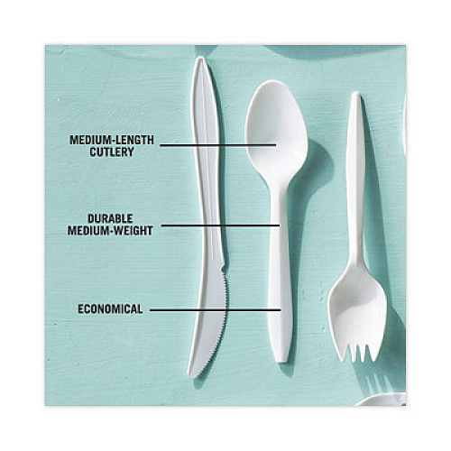 Pactiv Evergreen Fieldware Cutlery, Mediumweight Spoon, Plastic, White, 1,000/Carton (YFWSWCH)