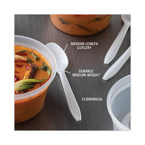 Pactiv Evergreen Fieldware Cutlery, Mediumweight Spoon, Plastic, White, 1,000/Carton (YFWSWCH)