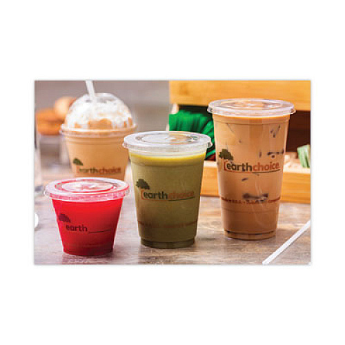 Pactiv Evergreen EarthChoice Compostable Cold Cup, 24 oz, Plastic, Clear/Printed, 580/Carton (YPLA24CEC)