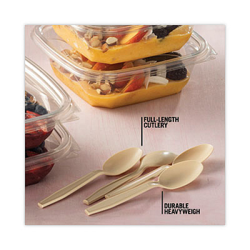 Pactiv Evergreen EarthChoice PSM Cutlery, Heavyweight Spoon, Plastic, Tan, 1,000/Carton (YPSMSTEC)