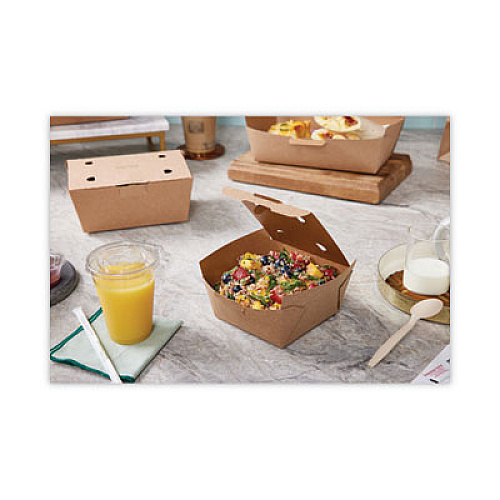 Pactiv Evergreen EarthChoice PSM Cutlery, Heavyweight Spoon, Plastic, Tan, 1,000/Carton (YPSMSTEC)