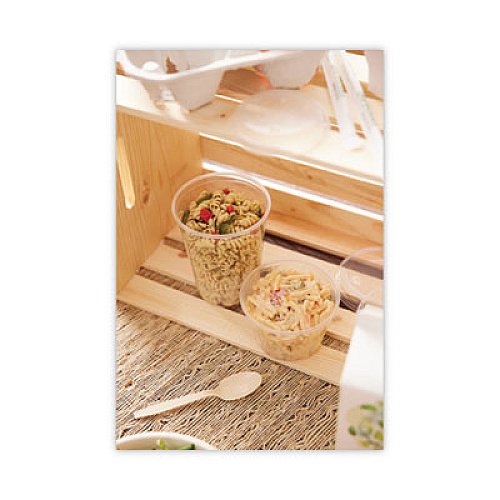 Pactiv Evergreen EarthChoice PSM Cutlery, Heavyweight Spoon, Plastic, Tan, 1,000/Carton (YPSMSTEC)