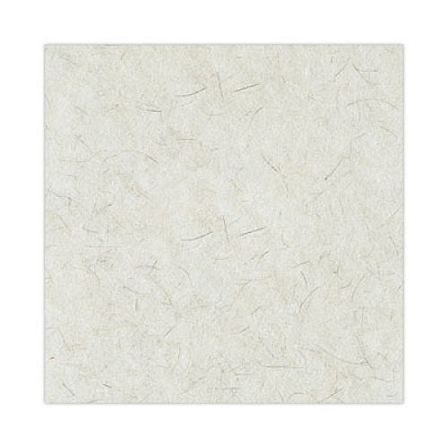 Boardwalk Natural Burnishing Floor Pads, 20" Diameter, White, 5/Carton (4020NAT)
