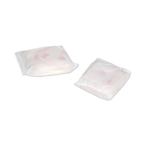 HOSPECO Generic Packaged Sanitary Pads, Regular Absorbency, 24/Pack, 24 Packs/Carton (BULK576)