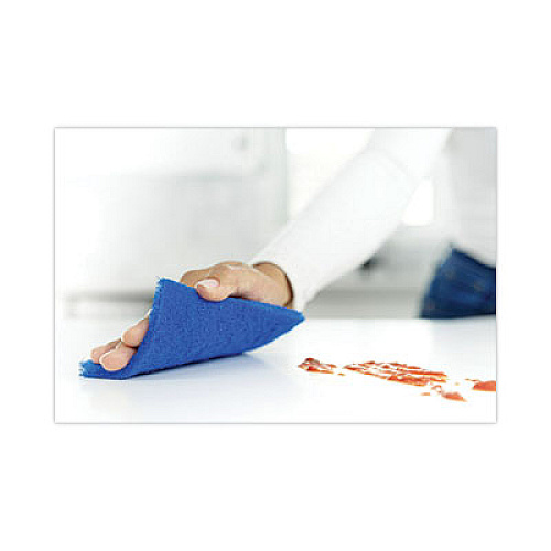 Scotch-Brite Non-Scratch Scour Pads, 3 x 6, Blue, 10/Carton (62310)