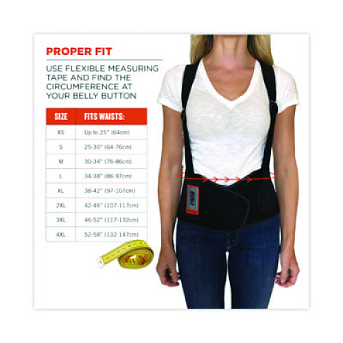 ergodyne ProFlex 1650 Economy Elastic Back Support Brace, 4X-Large, 52" to 58" Waist, Black (11098)