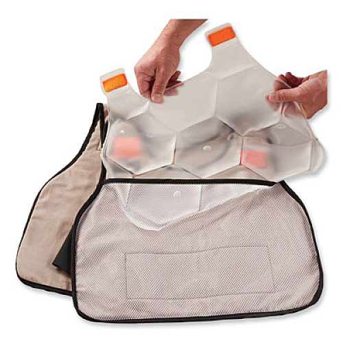 ergodyne Chill-Its 6220 Phase Change Cooling Vest Charge Packs, Small/Medium, 16.25 x 12, 2/Pack (12201)