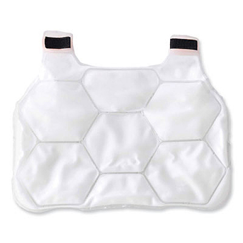 ergodyne Chill-Its 6220 Phase Change Cooling Vest Charge Packs, Large/X-Large, 18 x 14.75, 2/Pack (12202)