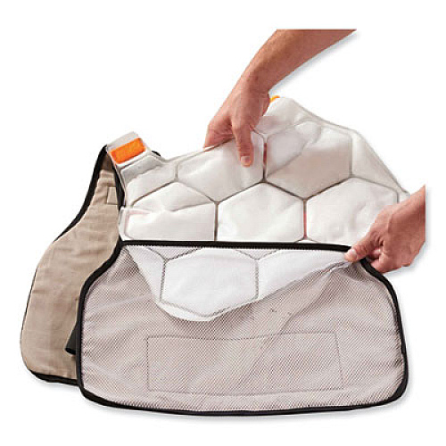 ergodyne Chill-Its 6220 Phase Change Cooling Vest Charge Packs, Large/X-Large, 18 x 14.75, 2/Pack (12202)