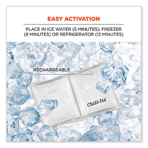 ergodyne Chill-Its 6283 Rechargeable Phase Change Ice Pack, 6 x 3 (12213)