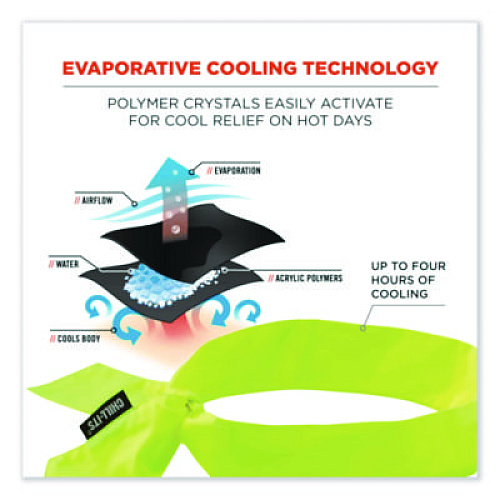 ergodyne Chill-Its 6700 Cooling Bandana Polymer Tie Headband, One Size Fits Most, Lime (12301)
