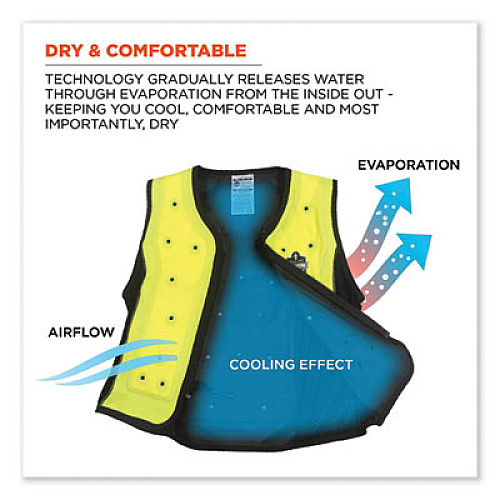 ergodyne Chill-Its 6685 Premium Dry Evaporative Cooling Vest with Zipper, Nylon, 4X-Large, Lime (12678)