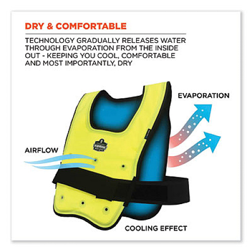 ergodyne Chill-Its 6687 Economy Dry Evaporative Cooling Elastic Waist Vest, Nylon, Small/Medium, Lime (12683)
