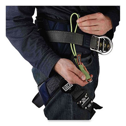 ergodyne Squids 3703 Elastic Loop Tool Tails with D-Rings, 15 lb Max Working Capacity, 15" Long, Lime, 3/Pack, 20 Packs/Carton (19767BULK)