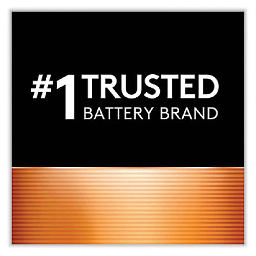 Duracell CopperTop Alkaline C Batteries, 2/Pack (MN1400B2Z)