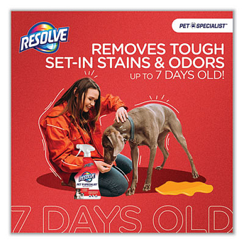 RESOLVE Pet Specialist Stain and Odor Remover, Citrus, 32 oz Trigger Spray Bottle, 12/Carton (99850CT)