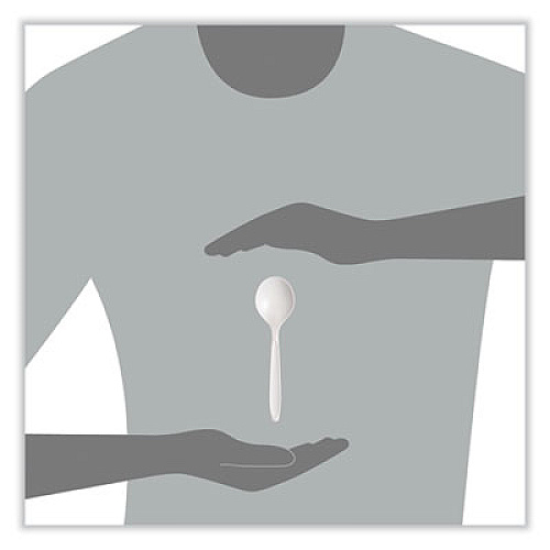 SOLO Reliance Mediumweight Cutlery, Soup Spoon, Plastic, White, 1,000/Carton (RSWS)