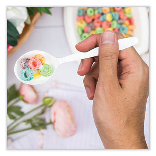 SOLO Reliance Mediumweight Cutlery, Soup Spoon, Plastic, White, 1,000/Carton (RSWS)