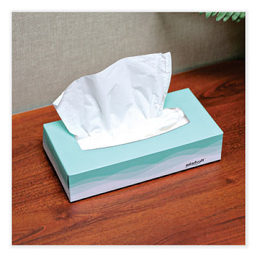 Windsoft Facial Tissue, Flat Pop-Up Box, 2-Ply, White, 100 Sheets/Box, 30 Boxes/Carton (2360)