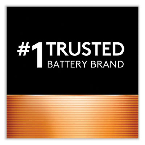 Duracell Power Boost CopperTop Alkaline AAA Batteries, 10/Pack (MN2400B10Z)