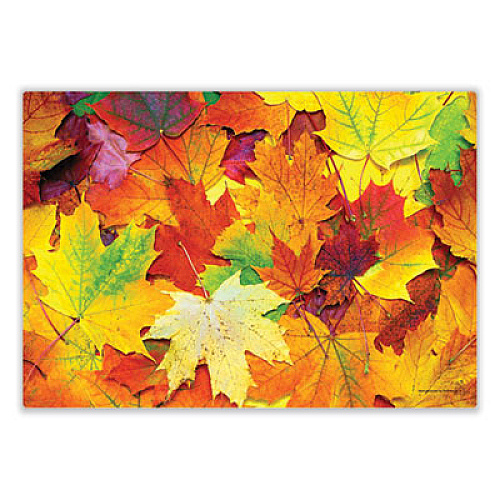 Hoffmaster Placemats, Three Autumn Days Photo Designs, Smooth Surface, Straight Edges, 14" x 10", Multicolor, 1,000/Carton (702081)