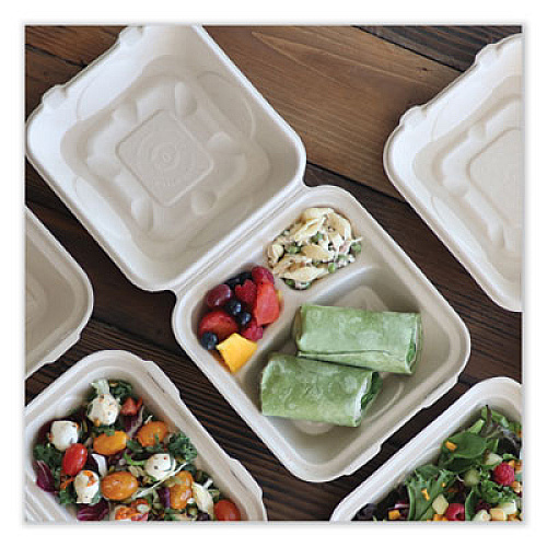 World Centric Fiber Hinged Takeout Containers, 3 Compartments, 8.8 x 8.2 x 2.9, Natural, Paper, 300/Carton (TOSCU8TLFP)