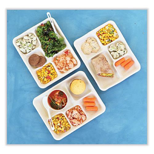 World Centric Fiber Foodservice Trays, 5 Compartments, 8.5 x 10.24 x 1.01, Natural, Paper, 400/Carton (TRSC5CLFS)