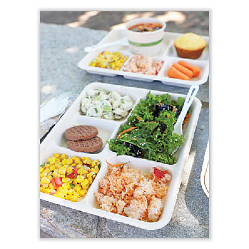 World Centric Fiber Foodservice Trays, 5 Compartments, 8.5 x 10.24 x 1.01, Natural, Paper, 400/Carton (TRSC5CLFS)