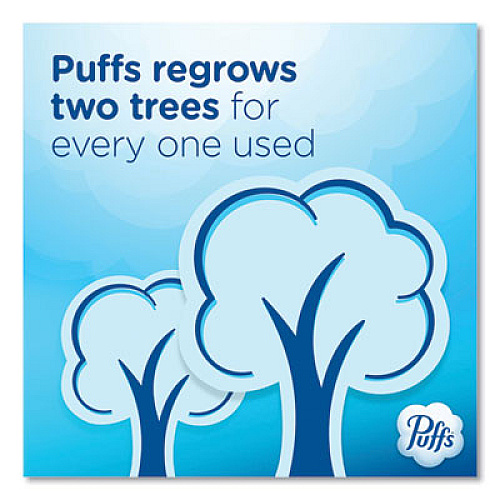 Puffs Ultra Soft Facial Tissue, 2-Ply, White, 124 Sheets/Box, 6 Boxes/Pack, 4 Packs/Carton (35554)