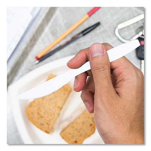 SOLO Reliance Mediumweight Cutlery, Standard Size, Knife, Plastic, White, 1,000/Carton (RSWK)