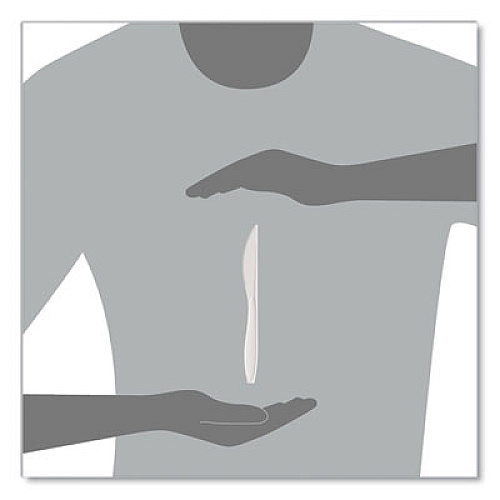SOLO Reliance Mediumweight Cutlery, Standard Size, Knife, Plastic, White, 1,000/Carton (RSWK)