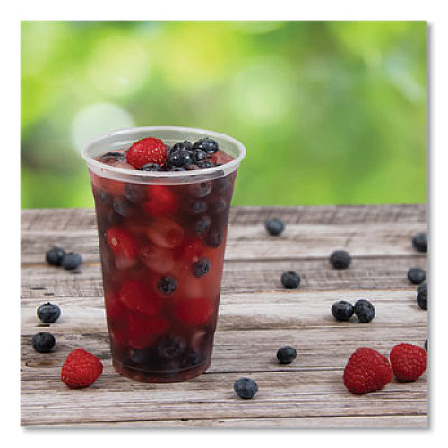 SOLO Ultra Clear Cups, 20 oz, Plastic, 50/Bag, 12 Bags/Carton (TP20)