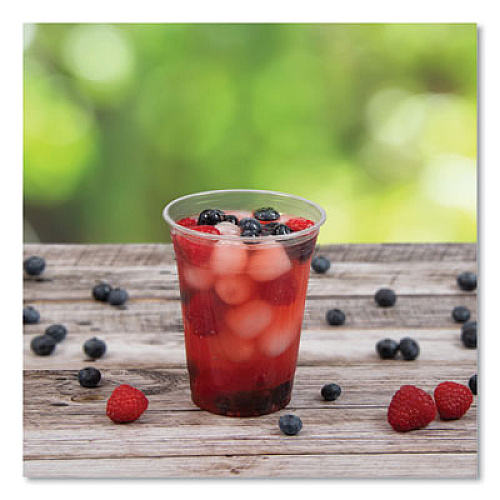 Dart Conex ClearPro Plastic Cold Cups, 16 oz, Clear, 50/Pack, 20 Packs/Carton (16PX)