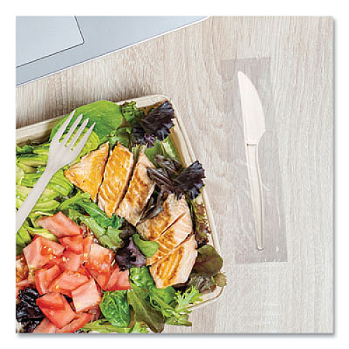 WNA EcoSense Renewable Plant Starch Cutlery, Individually Wrapped, Mediumweight Knife, Plastic, Natural, 750/Carton (EPS071)