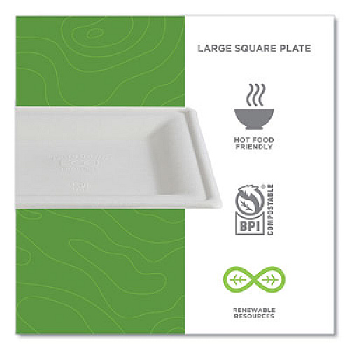Eco-Products Vanguard Renewable and Compostable Sugarcane Plates, 10 x 10, White, 250/Carton (EPP023NFA)