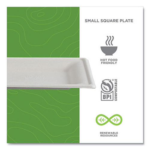 Eco-Products Vanguard Renewable and Compostable Sugarcane Plates, 6 x 6, White, 500/Carton (EPP021NFA)