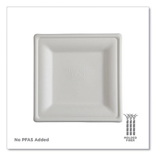 Eco-Products Vanguard Renewable and Compostable Sugarcane Plates, 10 x 10, White, 250/Carton (EPP023NFA)